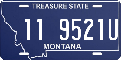 MT license plate 119521U