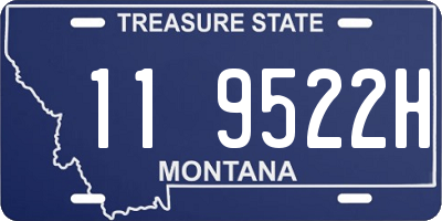 MT license plate 119522H