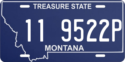 MT license plate 119522P
