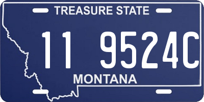 MT license plate 119524C