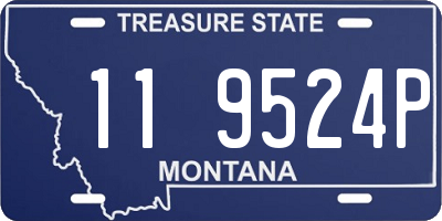 MT license plate 119524P