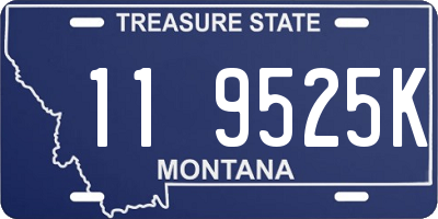 MT license plate 119525K