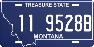 MT license plate 119528B