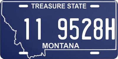 MT license plate 119528H