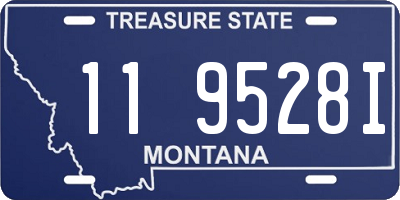 MT license plate 119528I