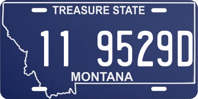 MT license plate 119529D