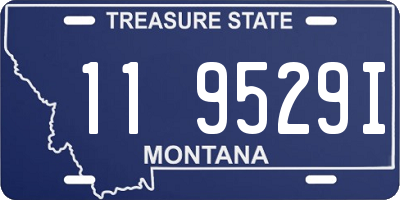 MT license plate 119529I