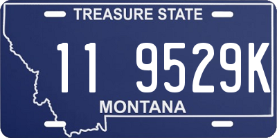 MT license plate 119529K