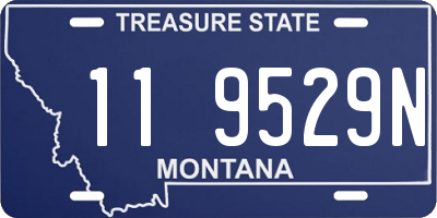 MT license plate 119529N