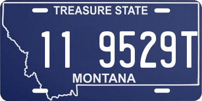 MT license plate 119529T