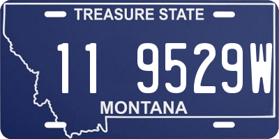 MT license plate 119529W