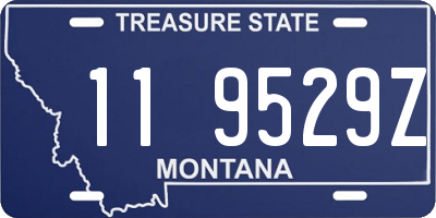 MT license plate 119529Z