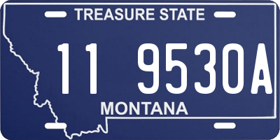 MT license plate 119530A