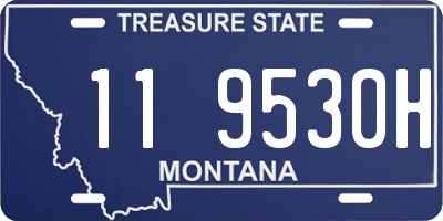 MT license plate 119530H