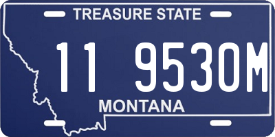 MT license plate 119530M