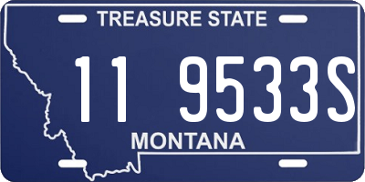 MT license plate 119533S