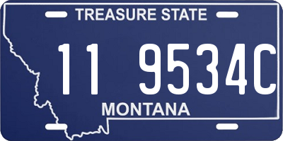 MT license plate 119534C