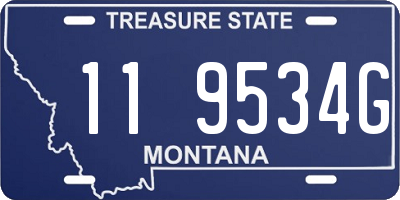 MT license plate 119534G