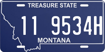 MT license plate 119534H