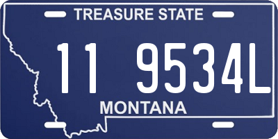 MT license plate 119534L