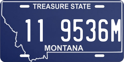 MT license plate 119536M