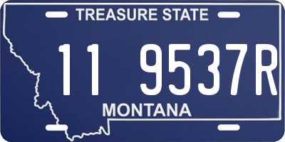 MT license plate 119537R