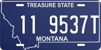 MT license plate 119537T