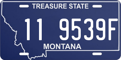 MT license plate 119539F