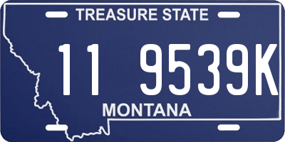 MT license plate 119539K