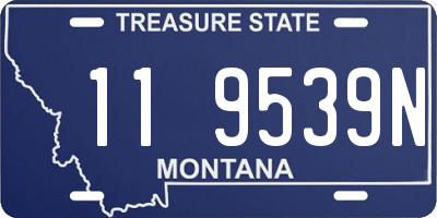 MT license plate 119539N