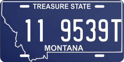 MT license plate 119539T