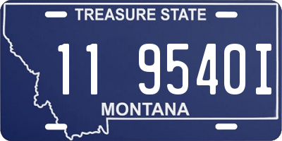 MT license plate 119540I