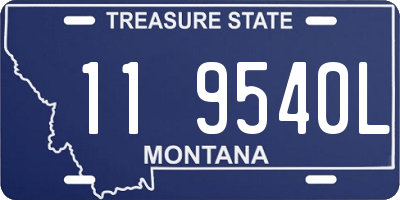 MT license plate 119540L