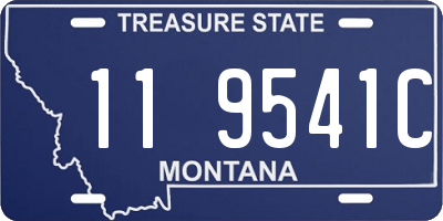 MT license plate 119541C