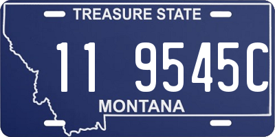 MT license plate 119545C