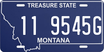 MT license plate 119545G