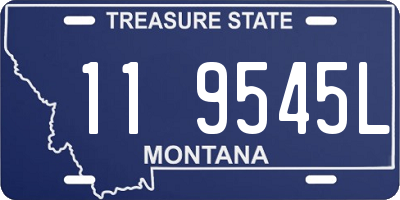 MT license plate 119545L