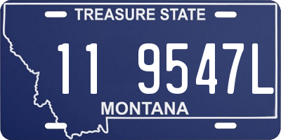 MT license plate 119547L