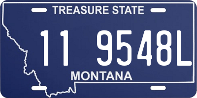 MT license plate 119548L