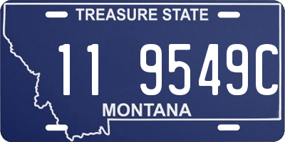 MT license plate 119549C