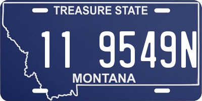 MT license plate 119549N