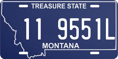 MT license plate 119551L