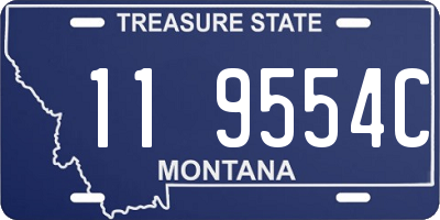 MT license plate 119554C