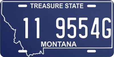MT license plate 119554G