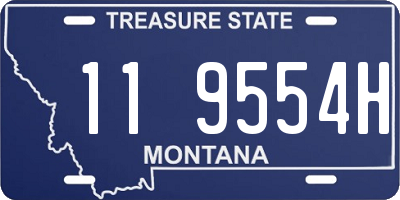 MT license plate 119554H