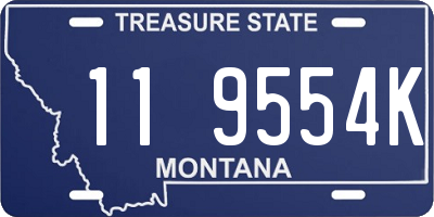MT license plate 119554K
