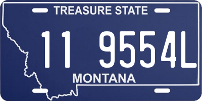 MT license plate 119554L