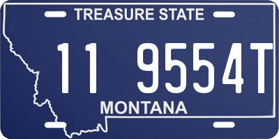 MT license plate 119554T