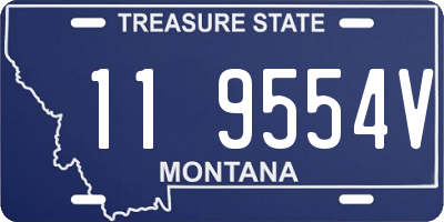 MT license plate 119554V