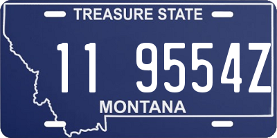 MT license plate 119554Z